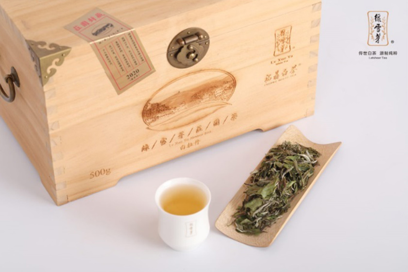 綠雪芽