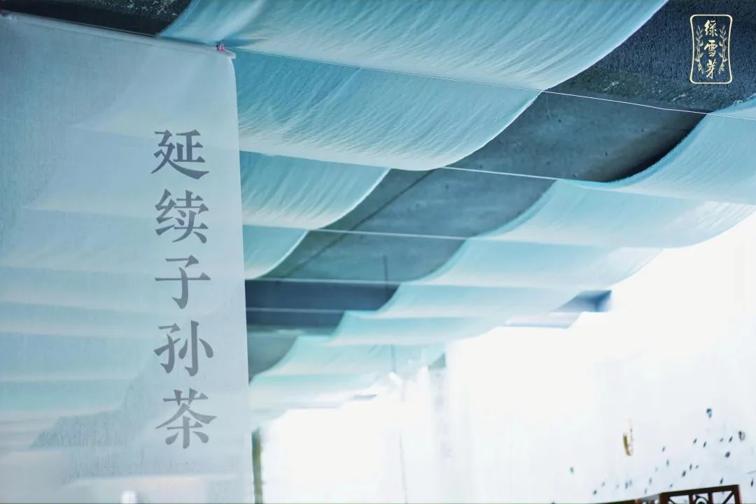 莊園白茶