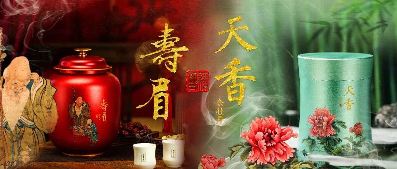 綠雪芽